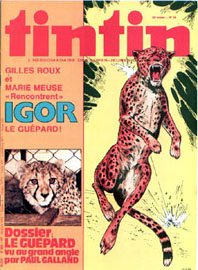 Couverture de Nouveau Tintin 262 en France et du numro 38/80 en Belgique
