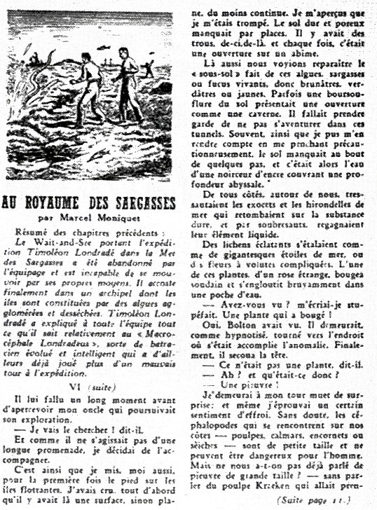 Au royaume des Sargasses