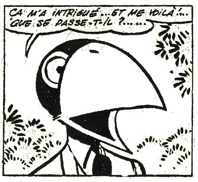 Monsieur Cro