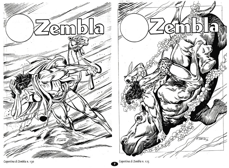 Deux couvertures de Zembla