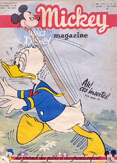 Couverture du numero 31