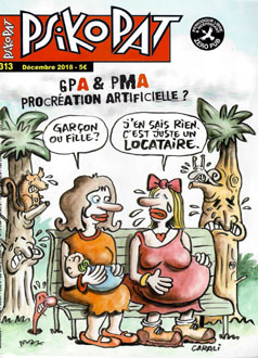 Couverture du numero 313