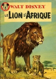 Lion d'Afrique
