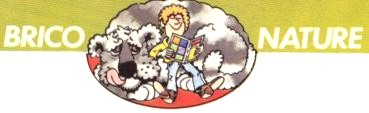 Brico nature