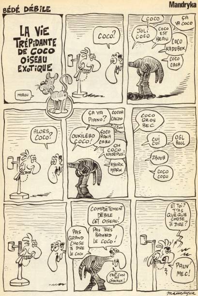 Vie trpidante de Coco oiseau exotique