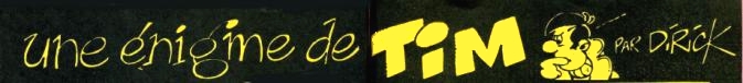 Une nigme de Tim